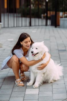 A young woman hugs a big dog at sunset in summer