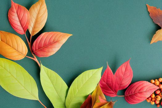 Autumn greeting card in A3 format. Autumn plant elements on gray green background. Text Happy Autumn to you . Autumn leaves, berries and flowers on blue frame.