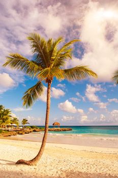 Tropical Paradise. Dominican Republic, Seychelles, Caribbean, Mauritius, Philippines, Bahamas. Relaxing on remote Paradise beach. Vintage.