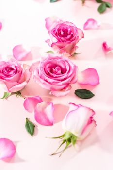 Flat lay. Pink roses and rose petals on a pink background.