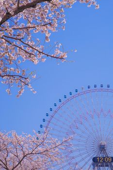 The city of full bloom and the city of Yokohama Minato Mirai. Shooting Location: Yokohama-city kanagawa prefecture