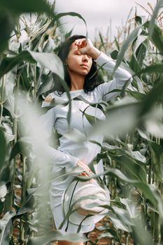 A brunette girl in a white dress in a cornfield. The concept of harvesting.