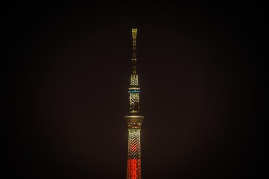 Sky Tree seen from Bunkyo Civic Center. Shooting Location: Tokyo metropolitan area