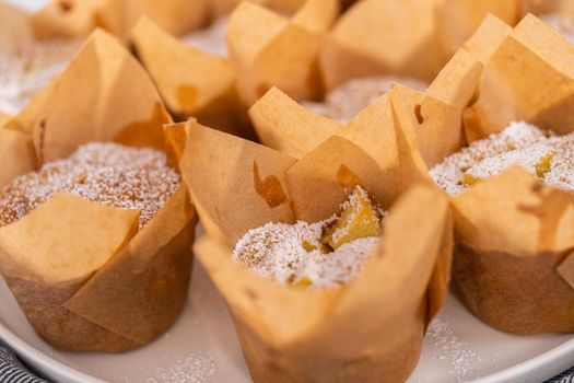Freshly baked apple sharlotka muffin dusted with powdered sugar on a white plate.