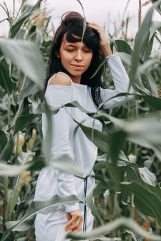 A brunette girl in a white dress in a cornfield. The concept of harvesting.