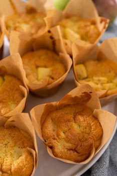 Garnishing freshly baked apple sharlotka muffins dusted with powdered sugar.