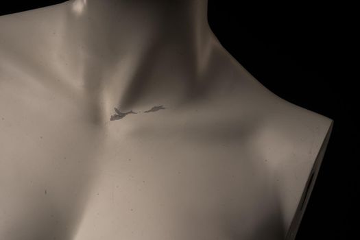 female mannequin torso isolated against dark studio background