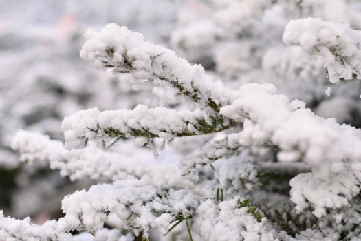White christmas artificial trees for sale on a shop