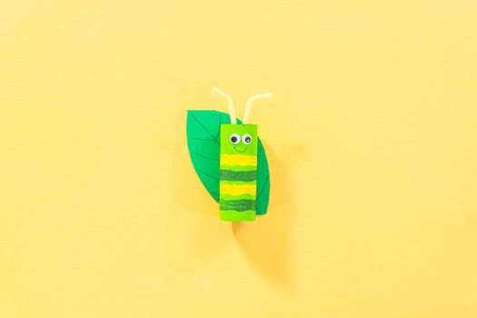 Papercraft project. Colorful bugs made out of empty toilet rolls.