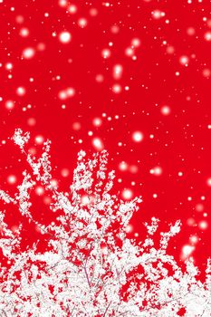 Branding, magic and festive concept - Christmas, New Years red floral background, holiday card design, flower tree and snow glitter as winter season sale promotion backdrop for luxury beauty brand