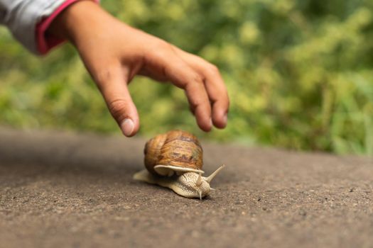 Child who found a snail.