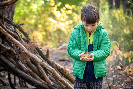 Portrait of happy smiling little kid boy in green coat holding fresh mushroom in hands. Autumn nature leisure with children concept.