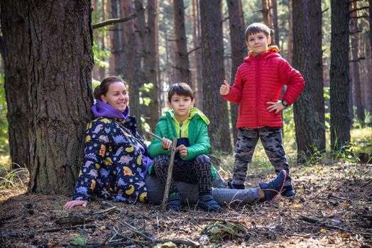 Family with mother and two children boy sibling brothers sits in the forest on felled logs or grass in summer. Happy family in colorful clothes have a hike in autumn forest.