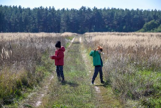 Young boys playing in a field. boys running across the field with his hands in different directions. children fun games. two boys. nature leisure with children concept.