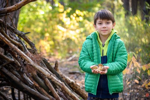 Portrait of happy smiling little kid boy in green coat holding fresh mushroom in hands. Autumn nature leisure with children concept.