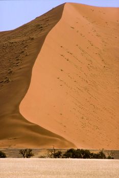 Dunes of Namib Desert, Namibia, Africa