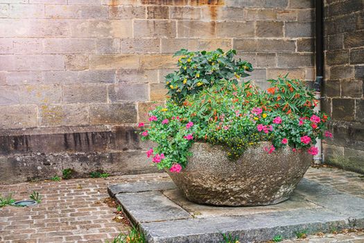 Multi-colored decorative flowers in old concrete vase on stone wall background. Copy space