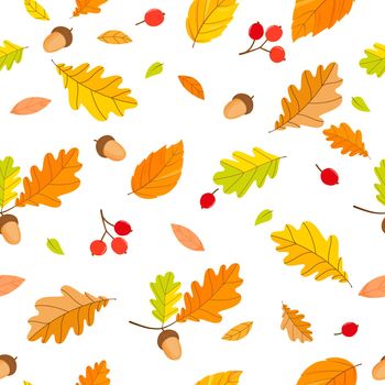 Seamless autumn pattern Oak leaves acorns berries. Vector illustration