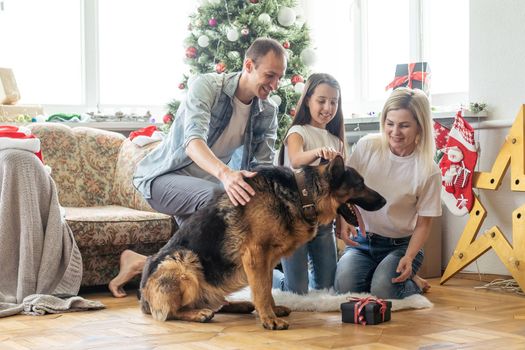 Friendly family is playing with dog near Christmas tree. They are sitting and laughing.