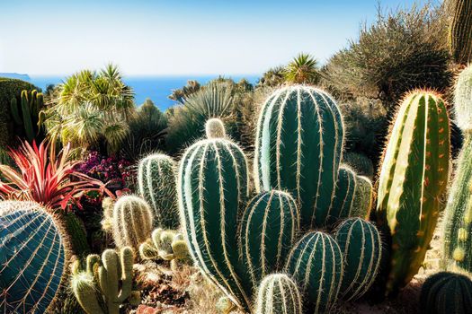 Cactus inside Exotic Garden at medival Eze village. Background is view of the Mediterranean coastline French Riviera coast, Cote d'Azur, France during winter season.