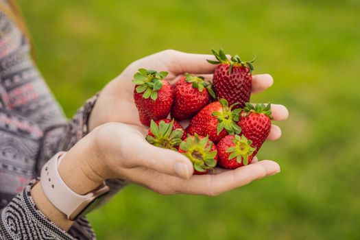 Young attractive woman eating a strawberry, outdoors.