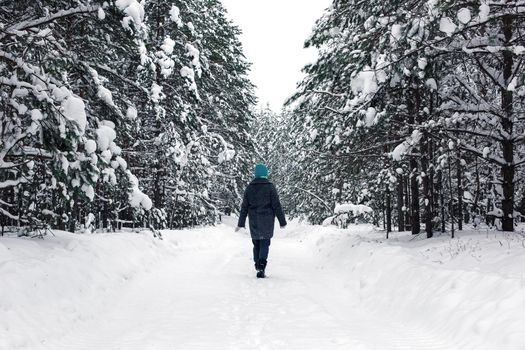 A lonely girl walks through a beautiful winter snowy forest, enjoys being alone. Back view