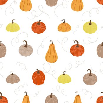 Seamless pattern. Various pumpkins in doodle style on a white background. Vector illustration.