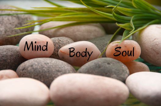Zen stones with words Mind, Body, Soul with rocks and plant background. Customize space for text or ideas.
