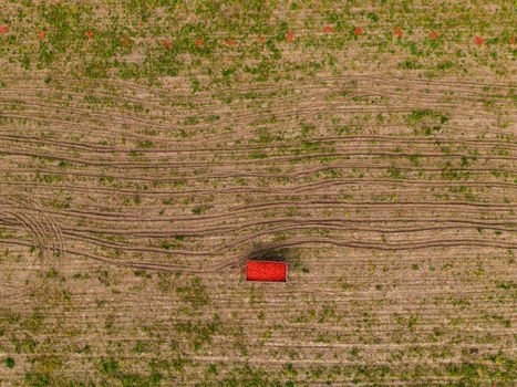 Aerial view of a pumpkin field with a trailer full of Hokkaidos, Germany
