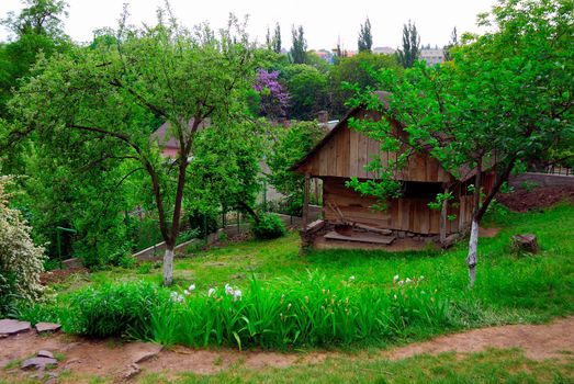 A typical Ukrainian landscape in spring or summer: white clay hut with a straw roof and a tree in the foreground.