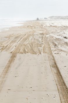 Driving on the beach of South Padre Island, TX.