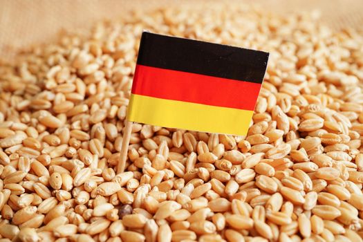 Germany on grain wheat, trade export and economy concept.