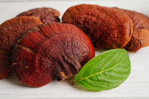 Lingzhi or Reishi mushroom with capsules, organic natural healthy food.