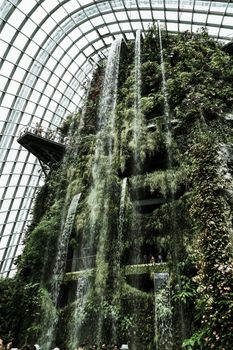 A waterfall in a jungle. Shooting Location: Singapore