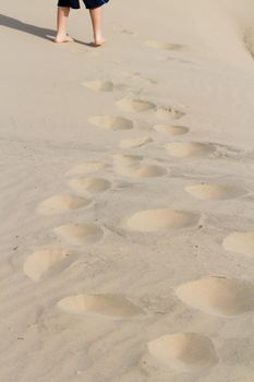 Footprints in sand of coastal dunes.