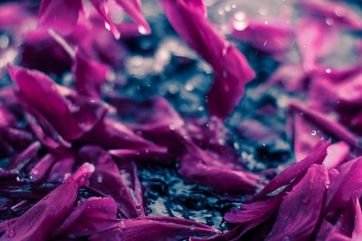 Beauty of nature, dream garden and wedding backdrop concept - Abstract floral background, purple flower petals in water