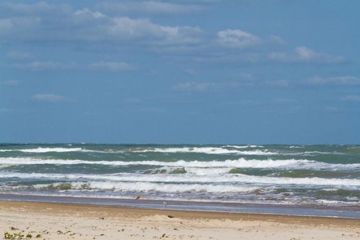 Beach of South Padre Island, TX.