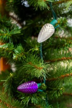 Christmas lights on evergreen granches.