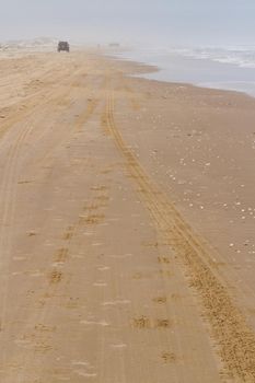 Driving jeep on the beach of South padre Island, TX.
