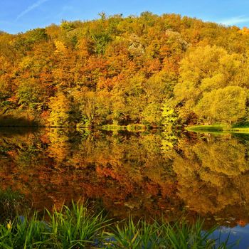 Autumn time. Beautiful landscape with colorful trees. Outdoor natural background for fall time.