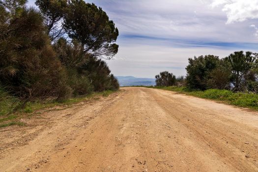 Country road at Penteli mountain at Attica, Greece.