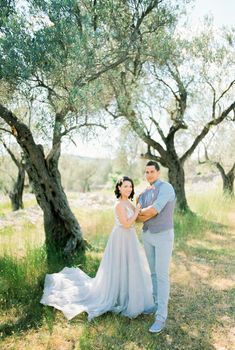 Bride and groom stand among the trees in the olive grove. High quality photo