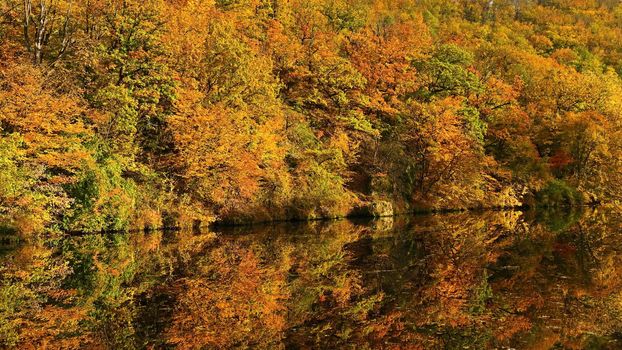 Autumn time. Beautiful landscape with colorful trees. Outdoor natural background for fall time.