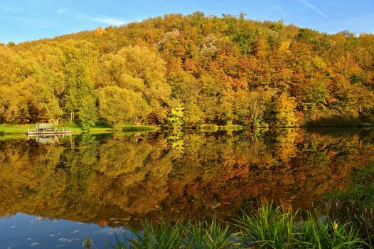 Autumn time. Beautiful landscape with colorful trees. Outdoor natural background for fall time.