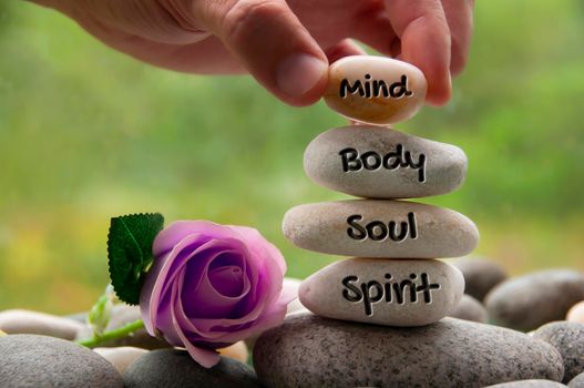 Mind, Body, Soul and Spirit words engraved on zen stones with rose flower. Copy space and zen concept.