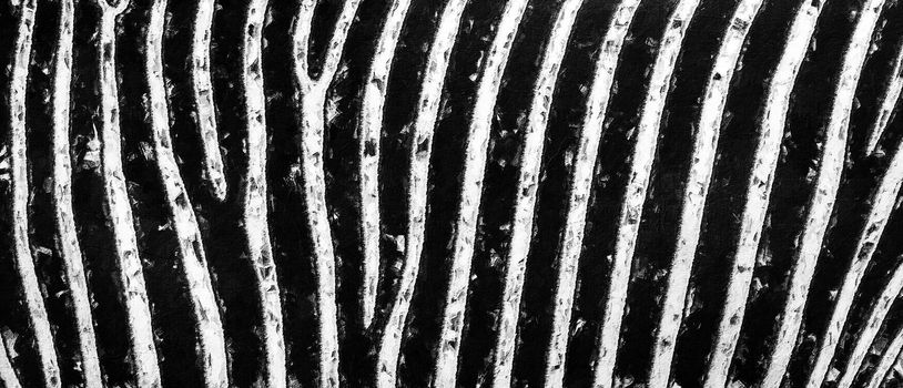 Zebra skin - abstract oil painting. Zebra stripes, Beautiful natural background. Close-up view of zebra stripes.