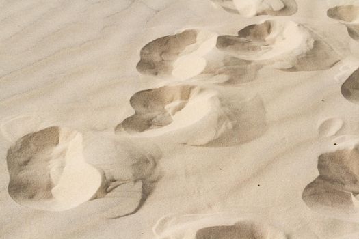 Footprints in sand of coastal dunes.