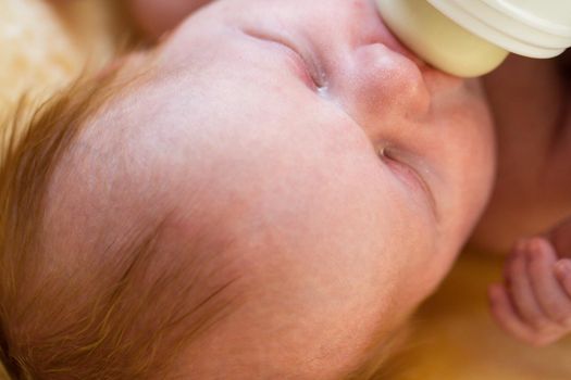 Newborn baby girl at feeding time.
