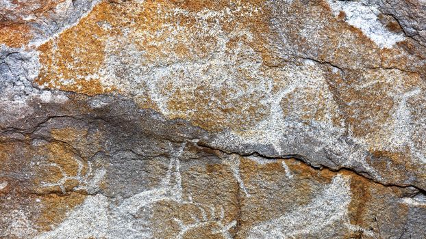 Rock paintings of ancient people. Image of ancient hunters with deer on the wall. ancient art, history, archeology