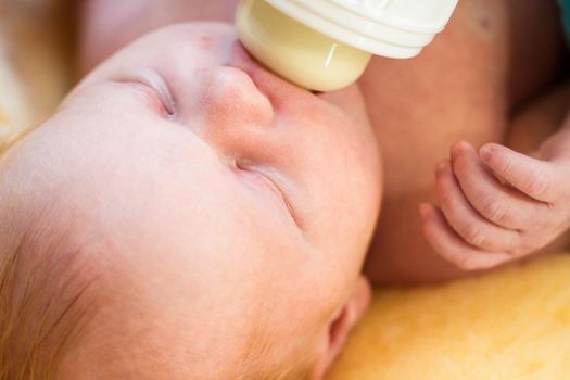 Newborn baby girl at feeding time.